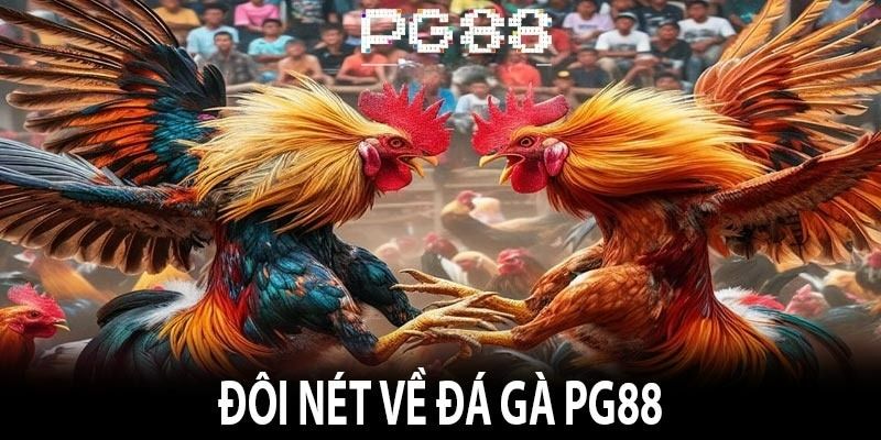 Giới thiệu thông tin cơ bản về đá gà PG88